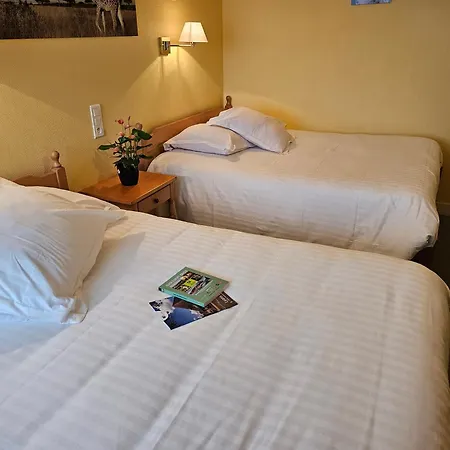 Logis Restaurant L'unique Hotel 3*