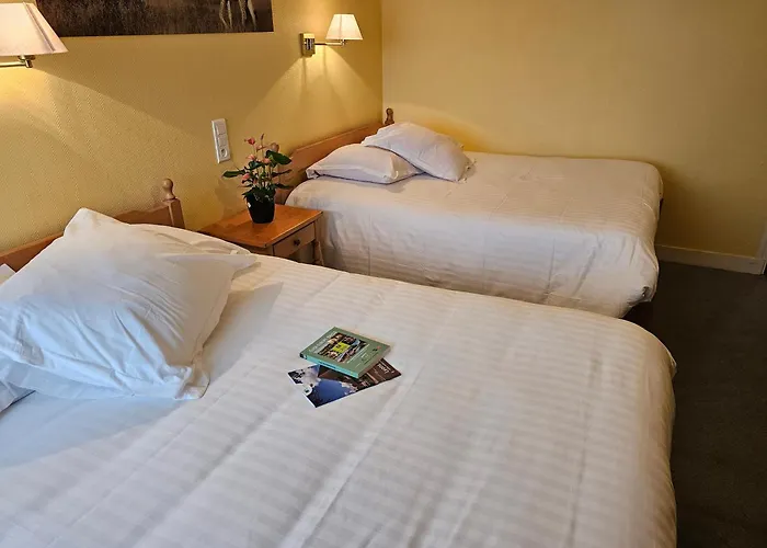 Logis Restaurant L'unique Hotel 3*