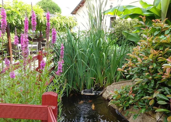 Hotel Logis Restaurant L'unique 3*